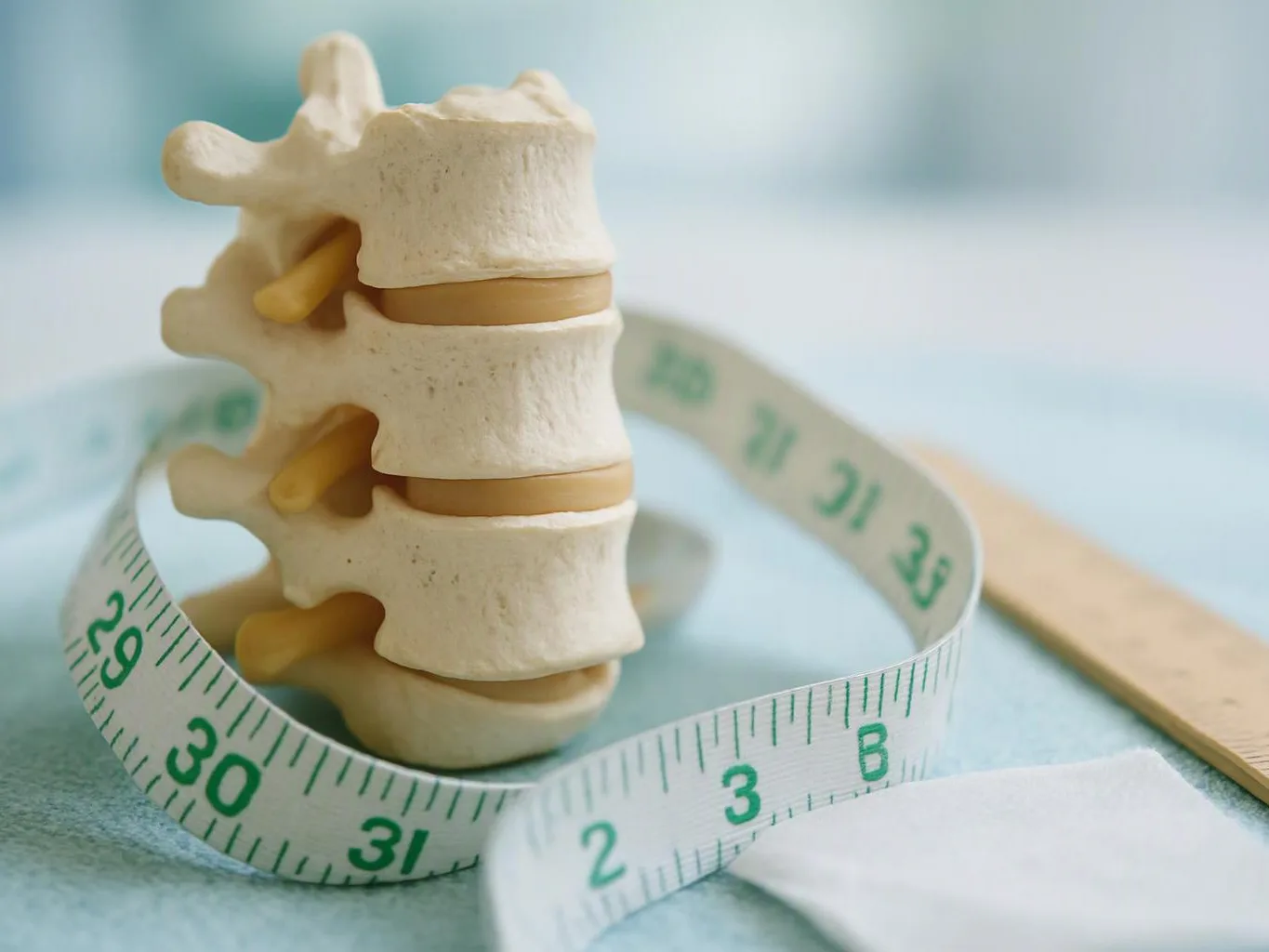 A spine model sits beside a coiled measuring tape on a light blue surface